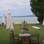 Vizparti *