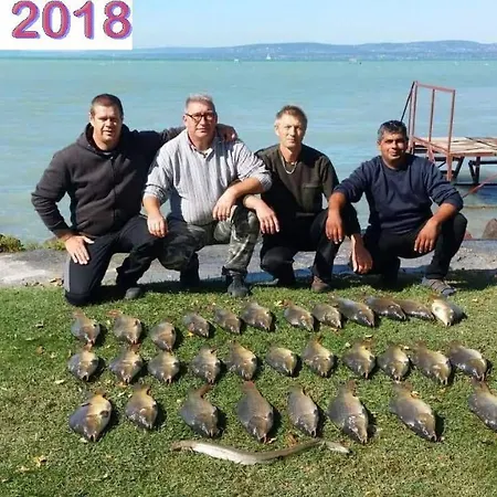 Vizparti Szántód