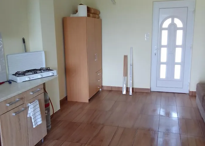 Vizparti *