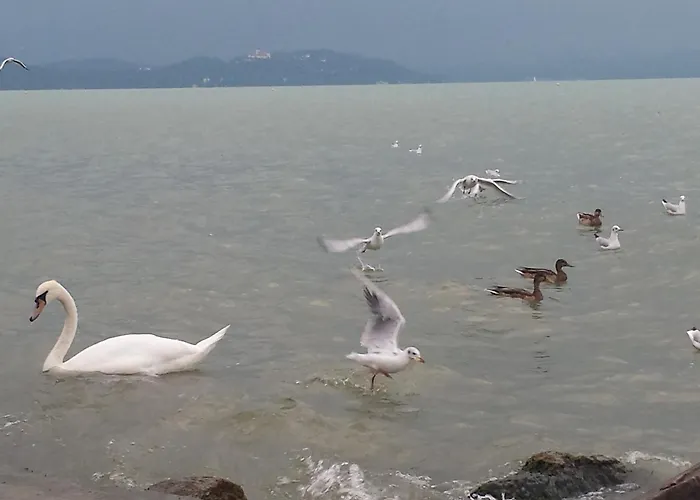 Vizparti * Szántód