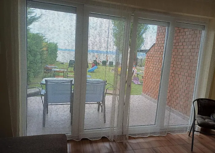 Vizparti